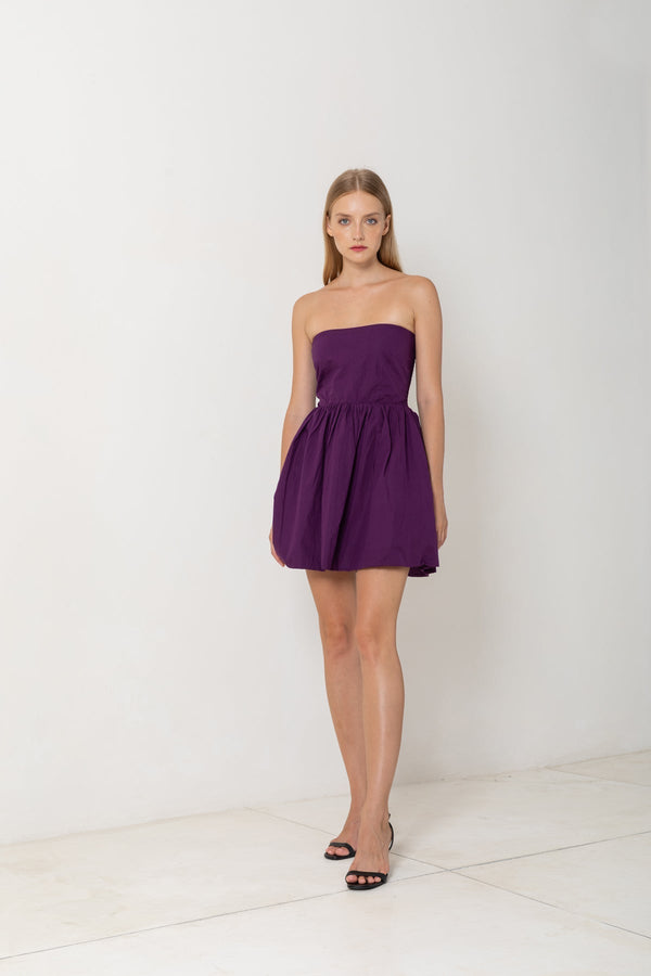 Verbena Mini Dress